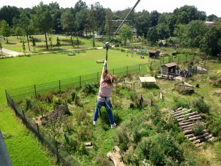 zipline