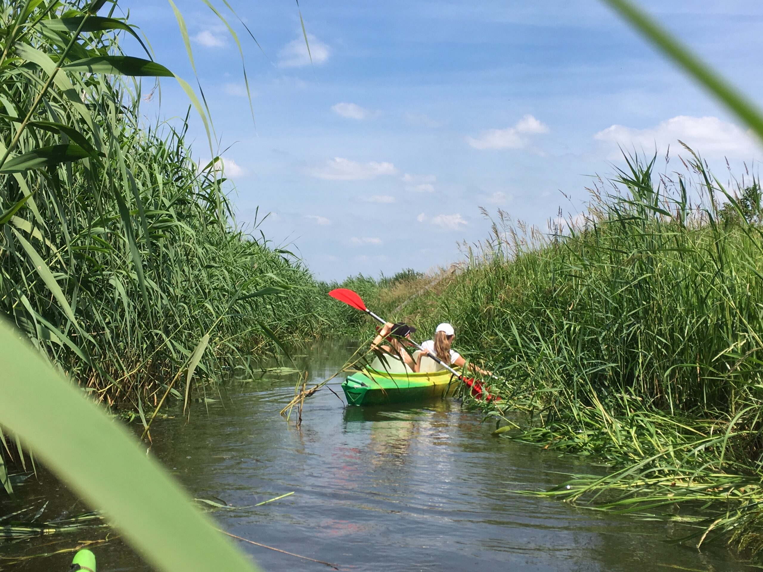 Deze afbeelding heeft een leeg alt-attribuut; de bestandsnaam is kano-in-riet-1-scaled.jpg