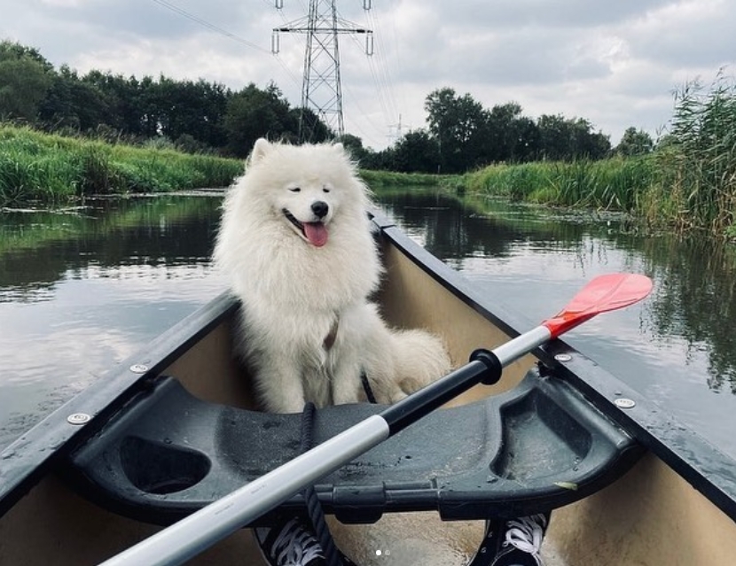 kanovaren met hond