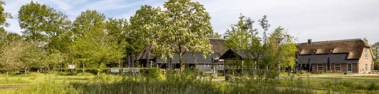 Duurzaamheid