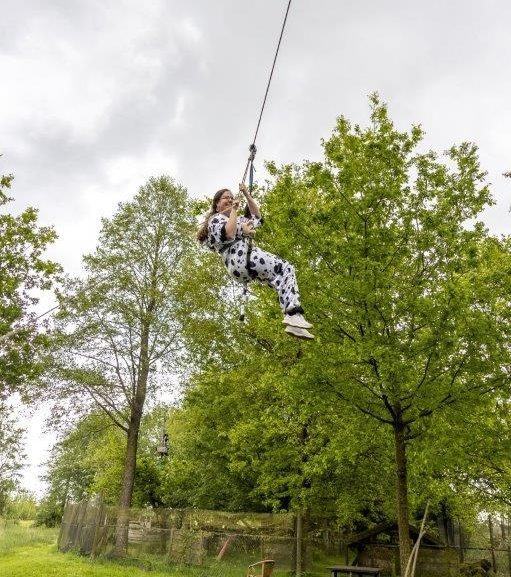 Zipline